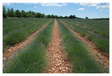 Fotó keret 24 - Szaggatott- tépett szélű képkeret fehér színben