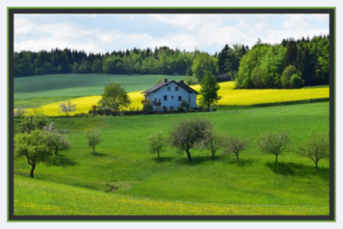 Fotó keret 33 - Háromszínű képkeret